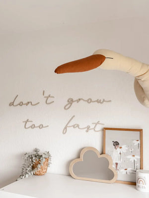 Schriftzug - don‘t grow too fast