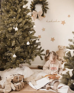 Schriftzug - hohoho